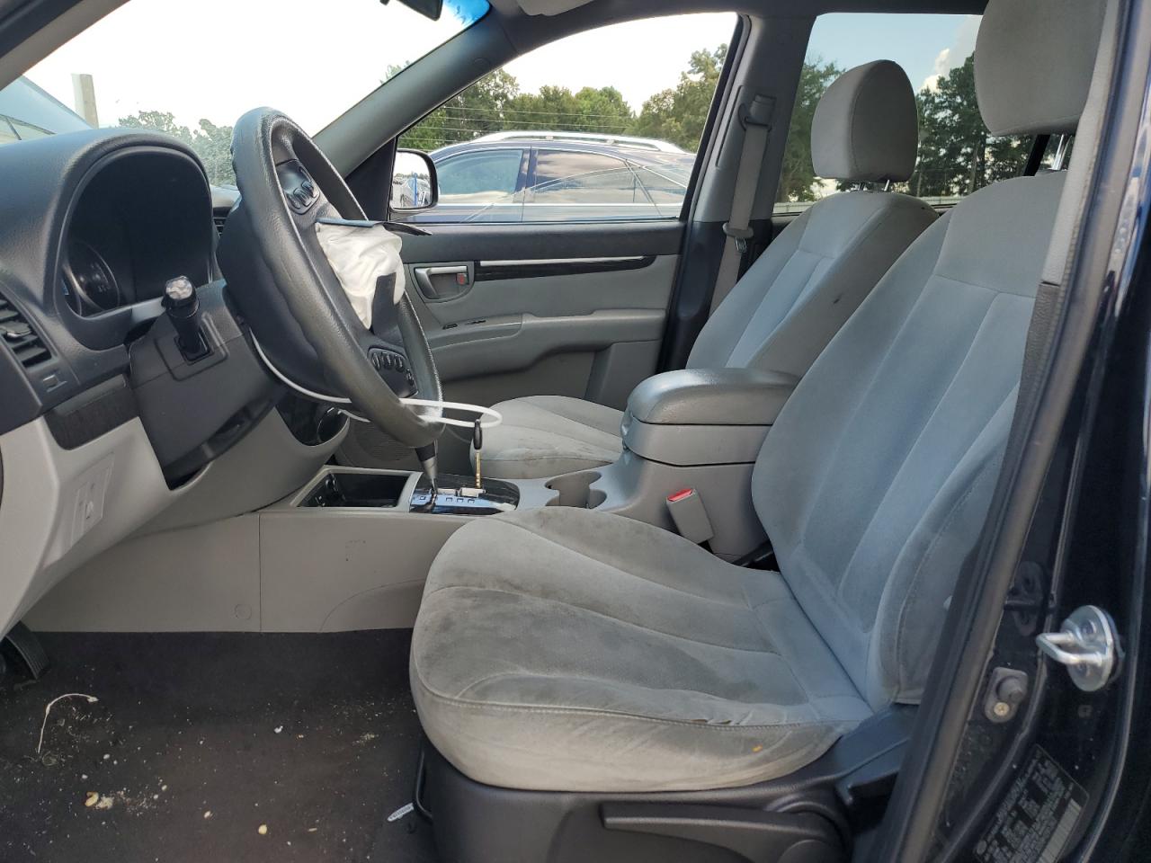 5NMSG13D59H291262 2009 Hyundai Santa Fe Gls