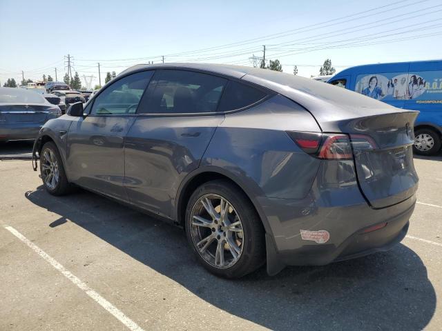  TESLA MODEL Y 2023 Szary