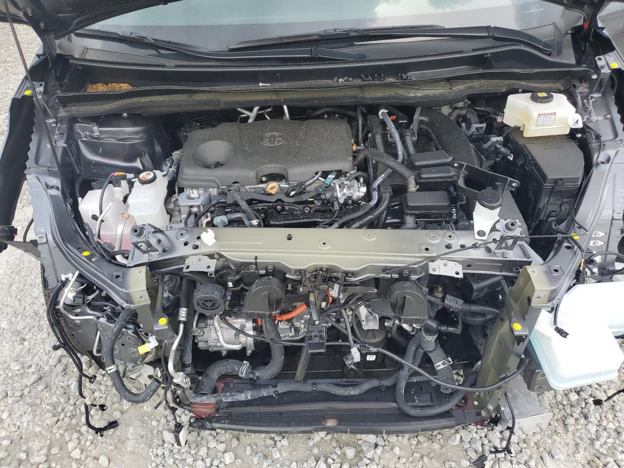 2025 Toyota Sienna Xle VIN: 5TDYRKEC6SS244355 Lot: 63050705