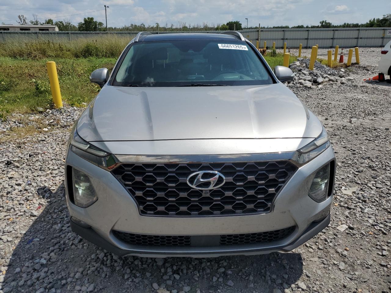 2020 Hyundai Santa Fe Limited VIN: 5NMS53AD2LH206339 Lot: 66651265