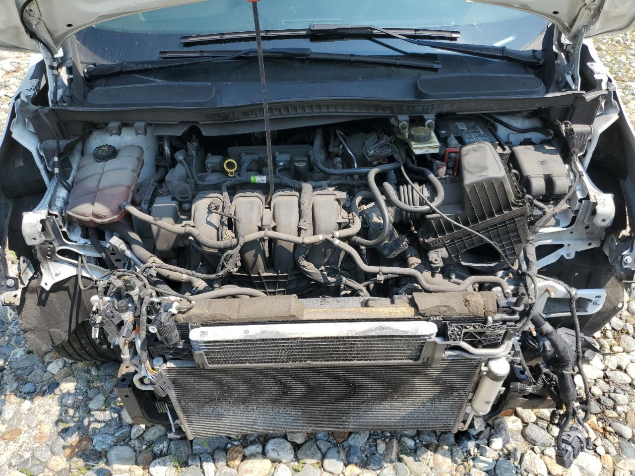 2020 Ford Transit Connect Xlt VIN: NM0LE7F21L1448985 Lot: 62053895