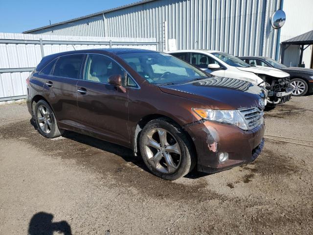 2010 TOYOTA VENZA   