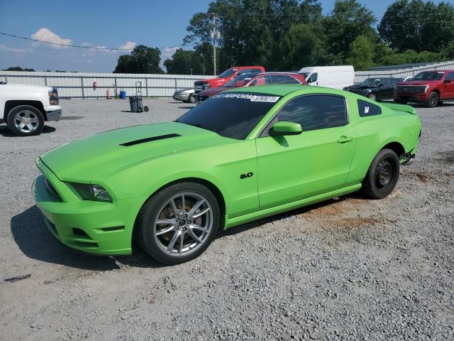  FORD MUSTANG 2013 Zielony