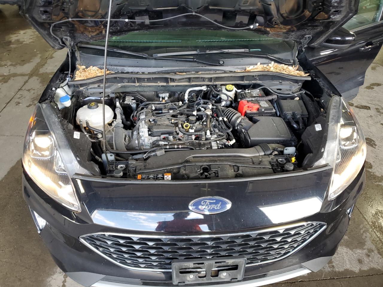 2022 Ford Escape Sel VIN: 1FMCU9H68NUA37405 Lot: 64423445