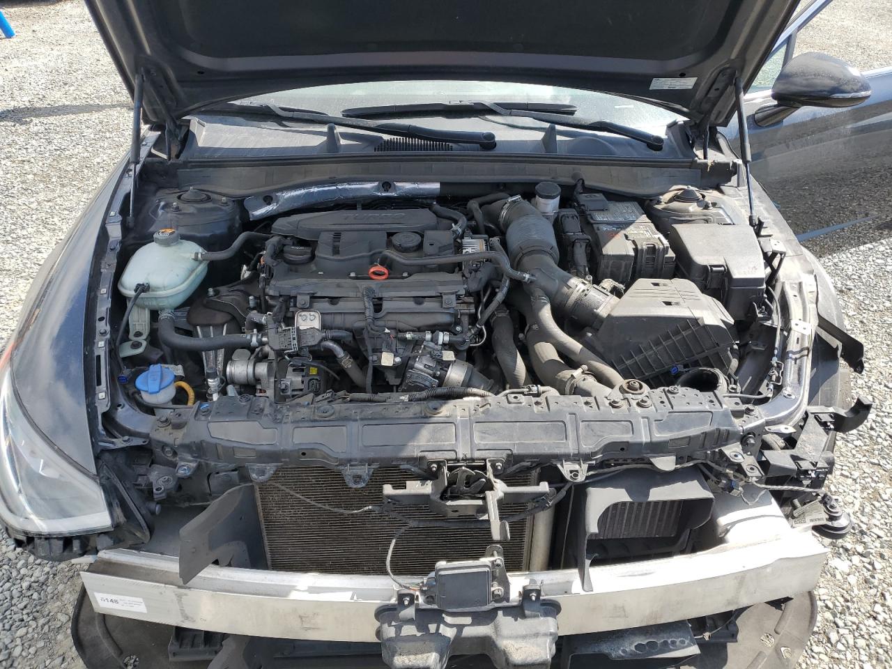 2020 Hyundai Sonata Sel Plus VIN: 5NPEJ4J26LH008752 Lot: 64257465