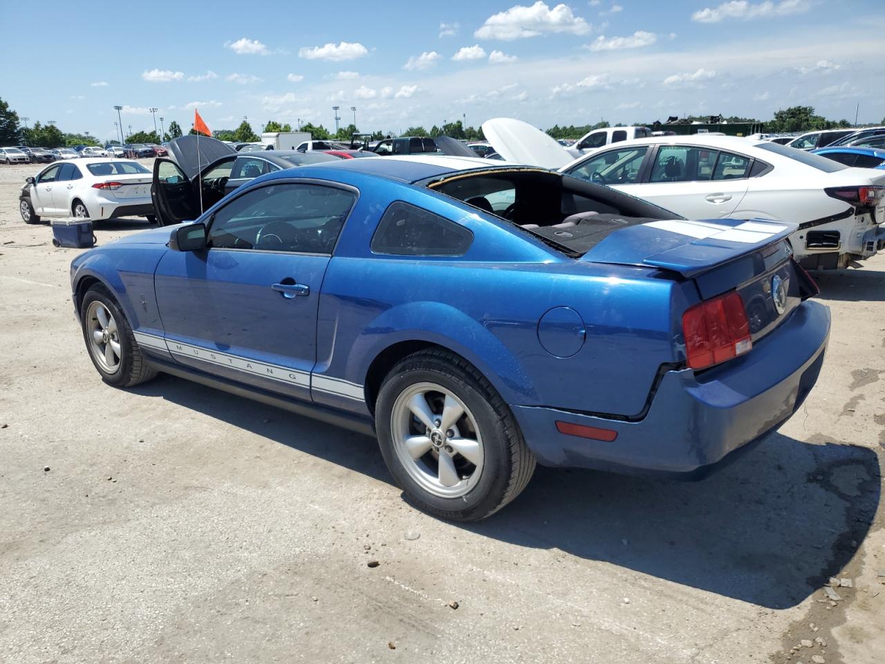 2008 Ford Mustang VIN: 1ZVHT80N785113251 Lot: 65640745