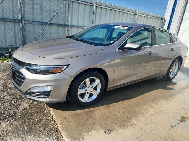  CHEVROLET MALIBU 2024 Gold