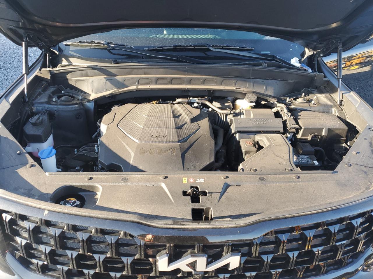 2024 Kia Telluride Sx VIN: 5XYP5DGC2RG416503 Lot: 64498415