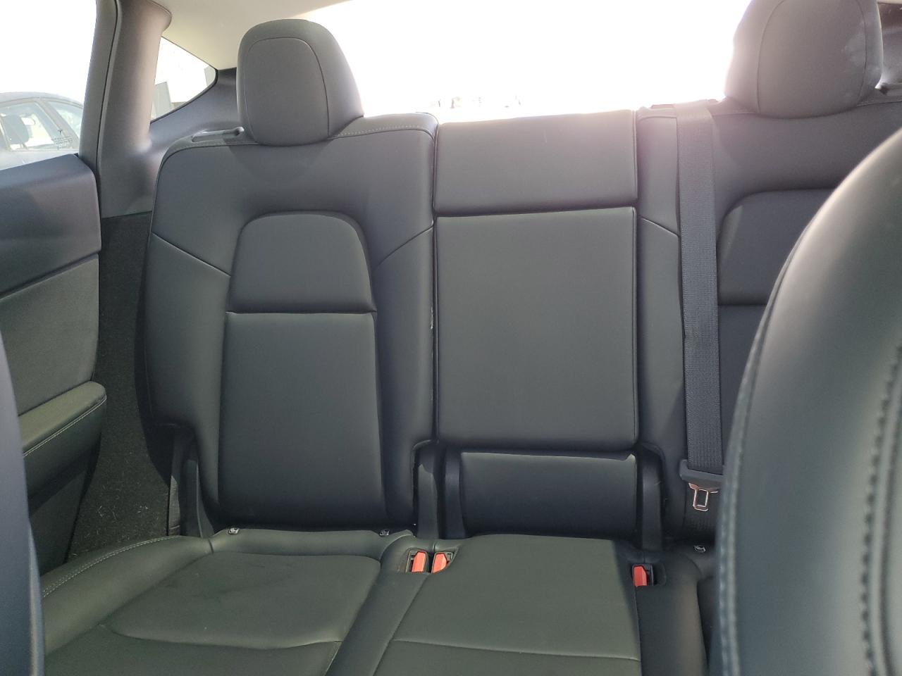 2023 Tesla Model Y VIN: 7SAYGDEE1PF604021 Lot: 66705445