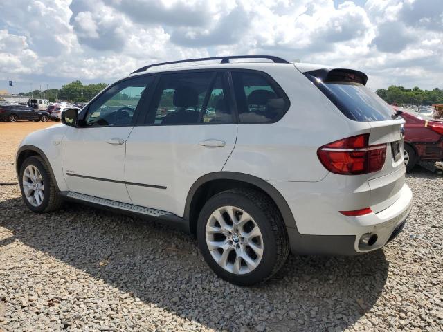Parquets BMW X5 2013 White