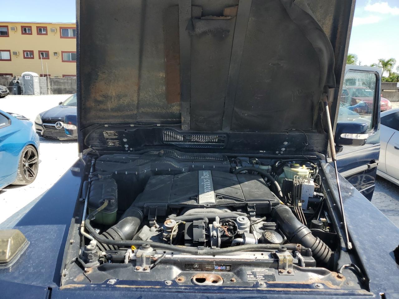 2005 Mercedes-Benz G 500 VIN: WDCYR49E65X161265 Lot: 66871315