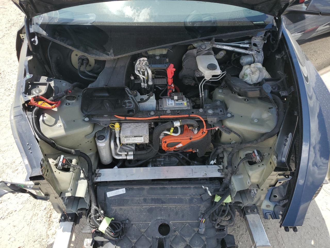 2024 Tesla Model Y VIN: 7SAYGDEE0RA229318 Lot: 69559225