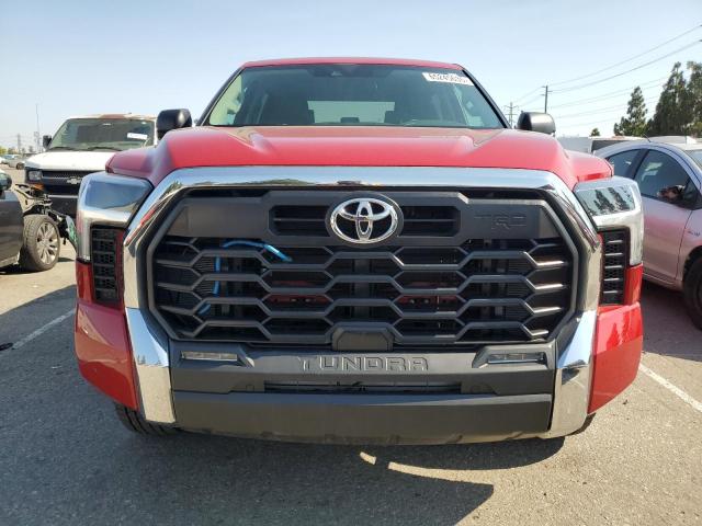  TOYOTA TUNDRA 2024 Czerwony