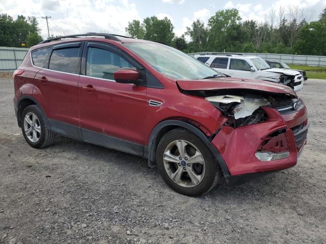  FORD ESCAPE 2014 Красный
