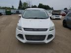 2016 FORD ESCAPE SE   for sale at Copart ON - TORONTO