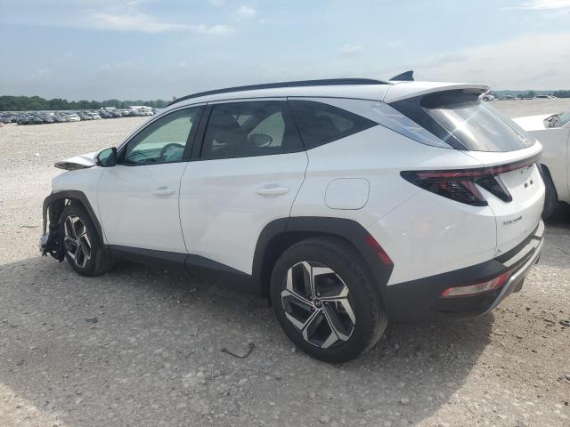  HYUNDAI TUCSON 2024 Белы