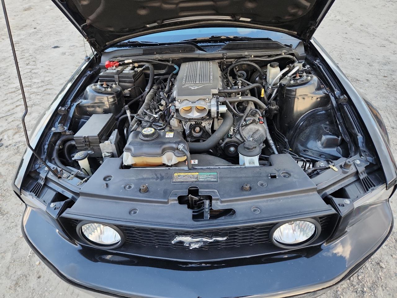 2009 Ford Mustang Gt VIN: 1ZVHT82H195144066 Lot: 64445895