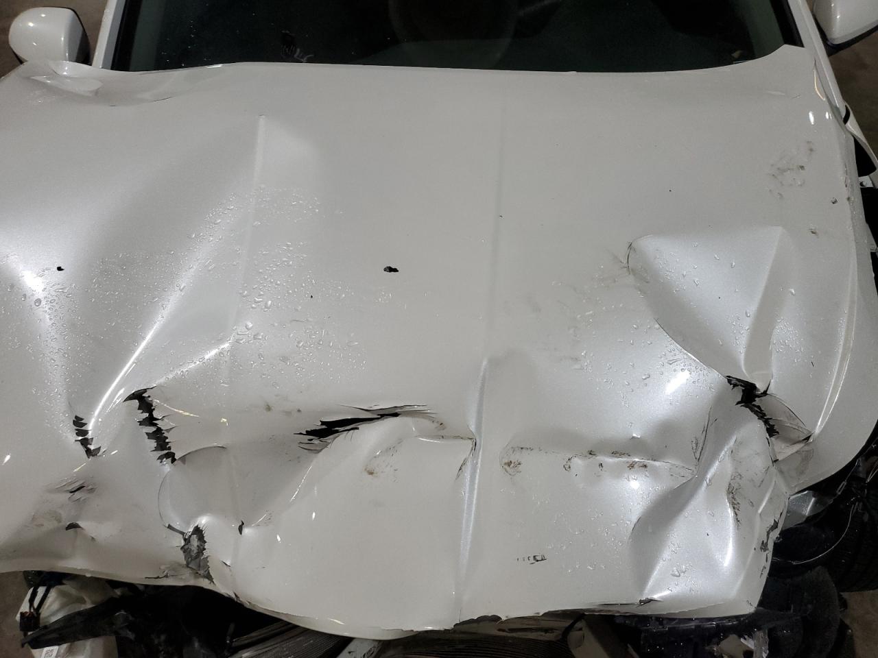 2019 Hyundai Elantra Sel VIN: 5NPD84LF3KH462964 Lot: 62600475