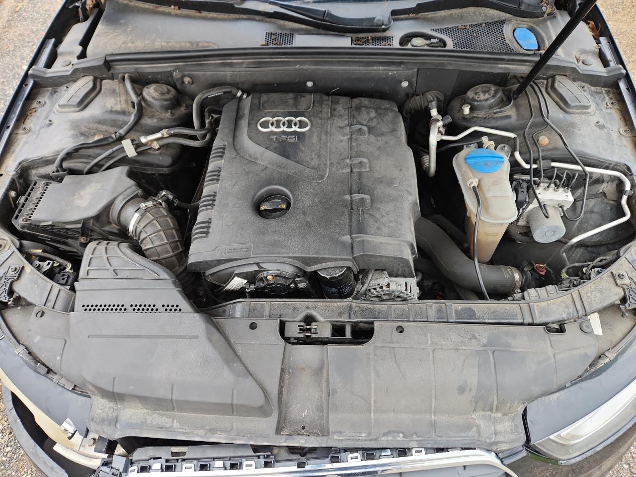 2013 Audi A4 Premium VIN: WAUBFAFL8DN004527 Lot: 64656585