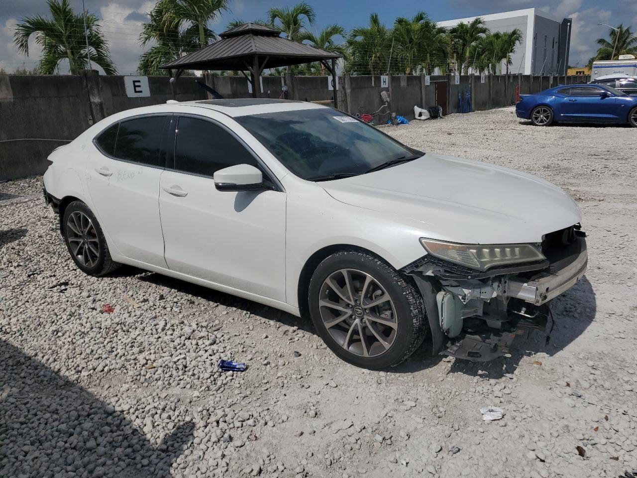 2017 Acura Tlx Tech VIN: 19UUB2F52HA005203 Lot: 66277305