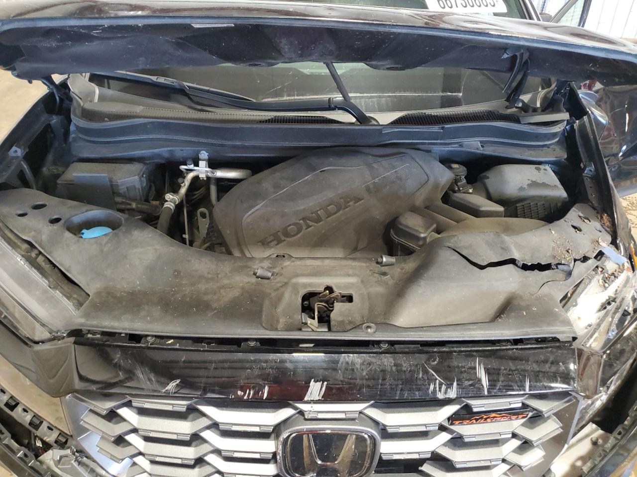 2023 Honda Passport Trail Sport VIN: 5FNYF8H61PB041922 Lot: 66730885