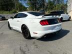 2019 FORD MUSTANG    for sale at Copart MA - NORTH BOSTON