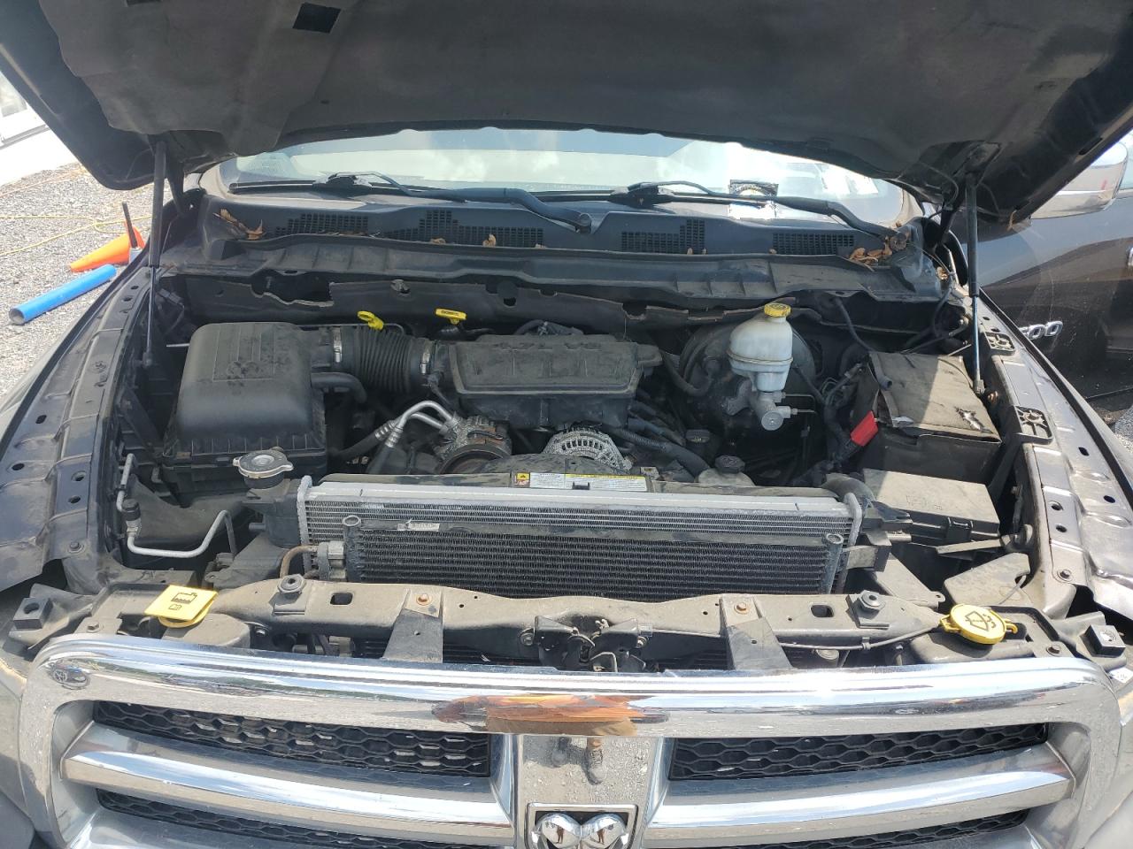 2011 Dodge Ram 1500 VIN: 1D7RV1GP6BS503935 Lot: 65838305