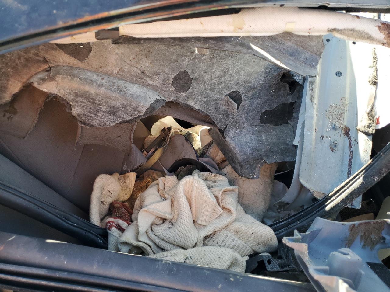 2006 Honda Civic Lx VIN: JHMFA16516S000374 Lot: 63387765