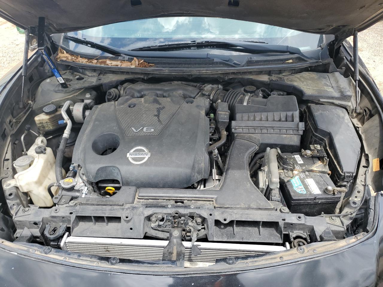 2010 Nissan Maxima S VIN: 1N4AA5AP2AC873975 Lot: 63037145