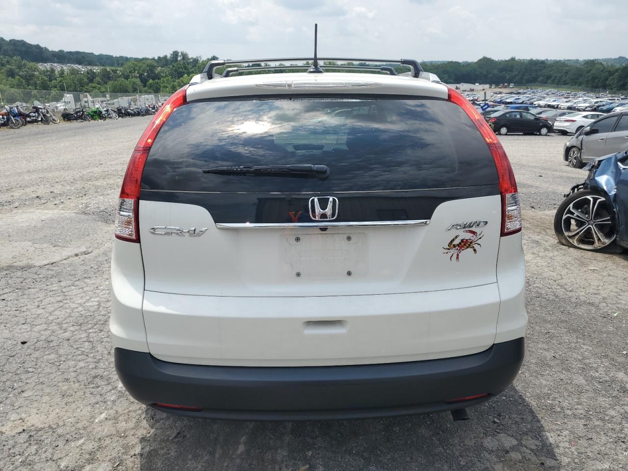 2013 Honda Cr-V Exl VIN: 5J6RM4H71DL027954 Lot: 63988045