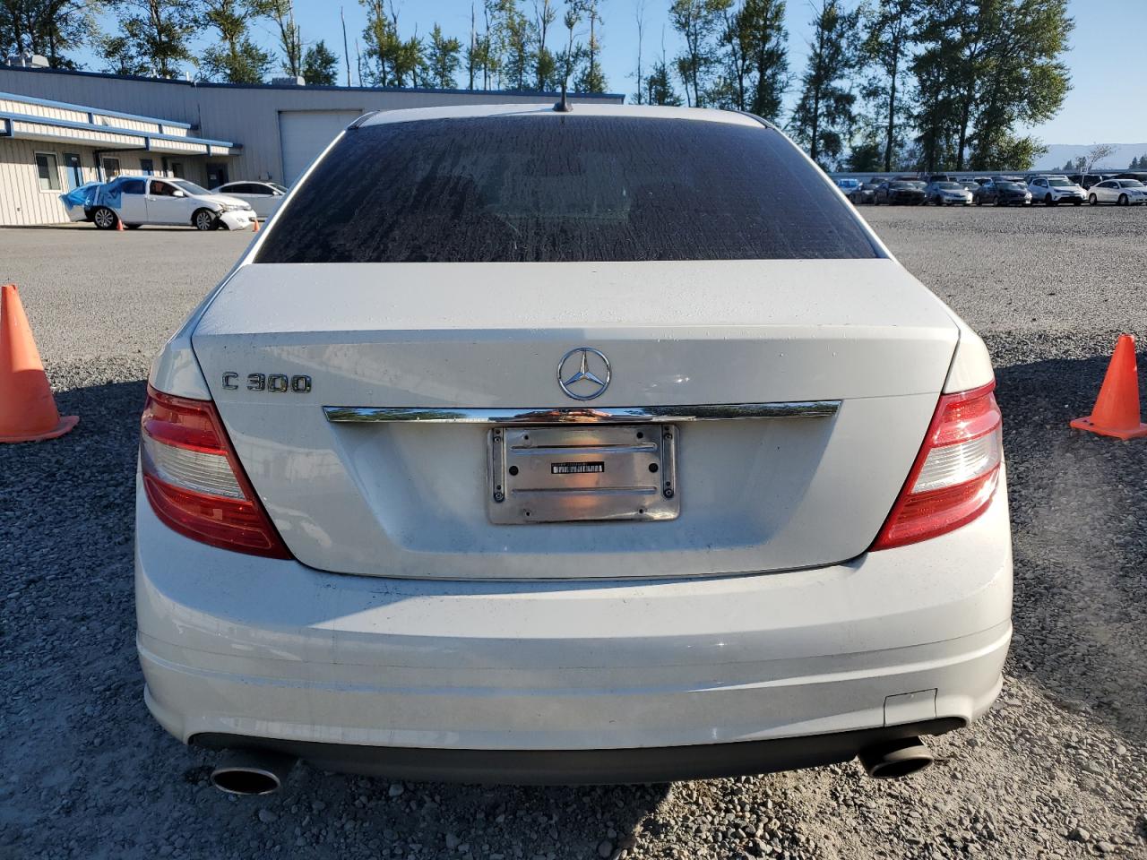 2010 Mercedes-Benz C 300 VIN: WDDGF5EB1AR120249 Lot: 64585065