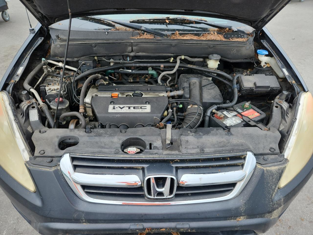 2004 Honda Cr-V Ex VIN: SHSRD78834U223390 Lot: 64777695