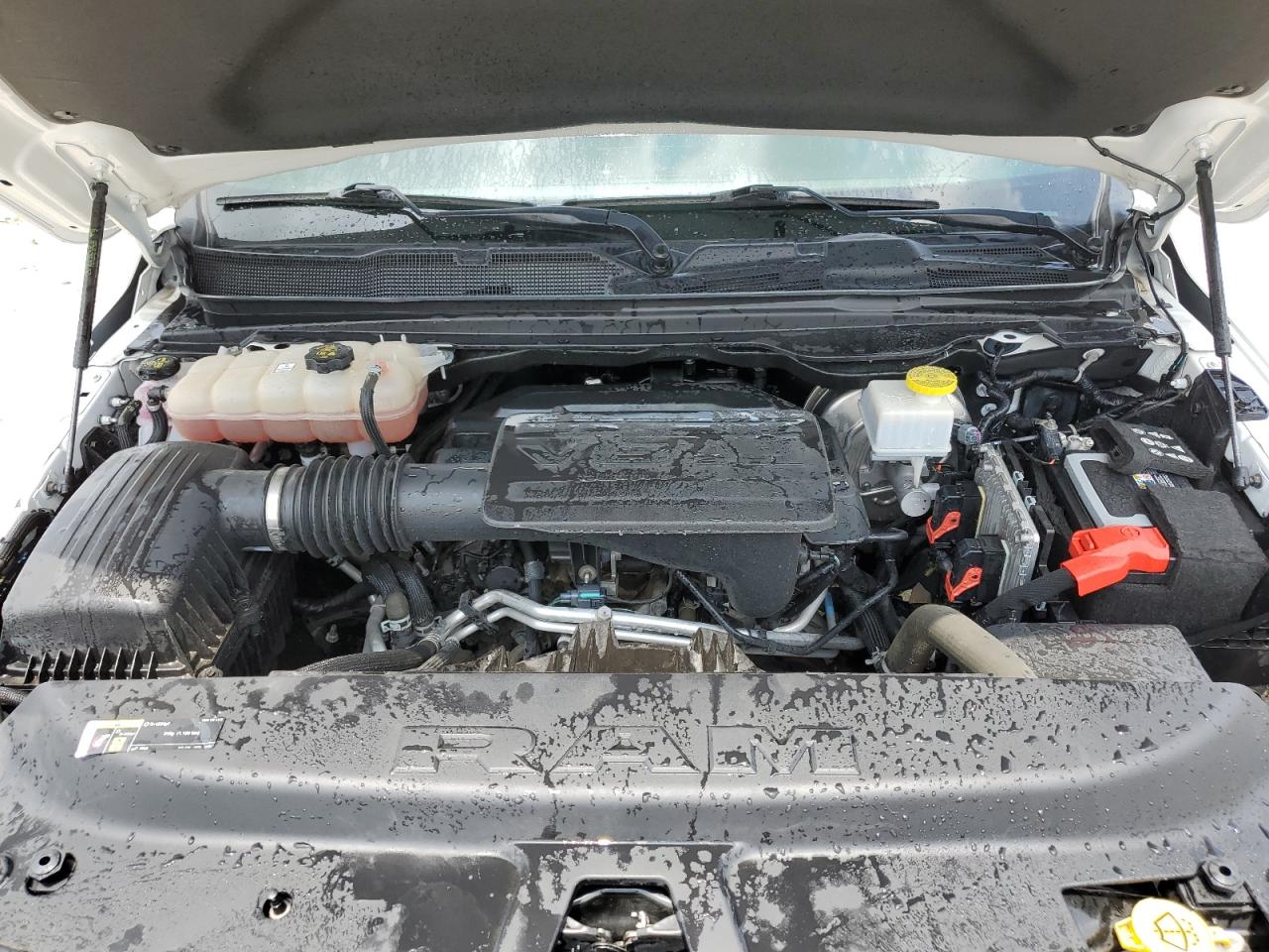 2021 Ram 1500 Big Horn/Lone Star VIN: 1C6RRFFG6MN748210 Lot: 65611655