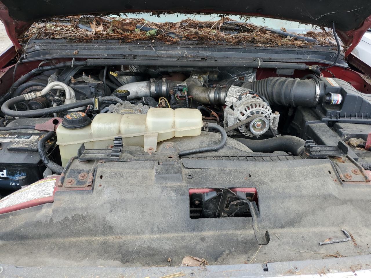 1999 Ford F250 Super Duty VIN: 1FTNX21F8XEE98381 Lot: 64363505