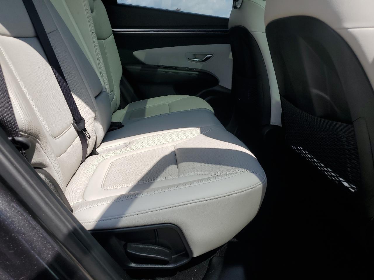 2022 Hyundai Tucson Limited VIN: 5NMJE3AEXNH046038 Lot: 64423865