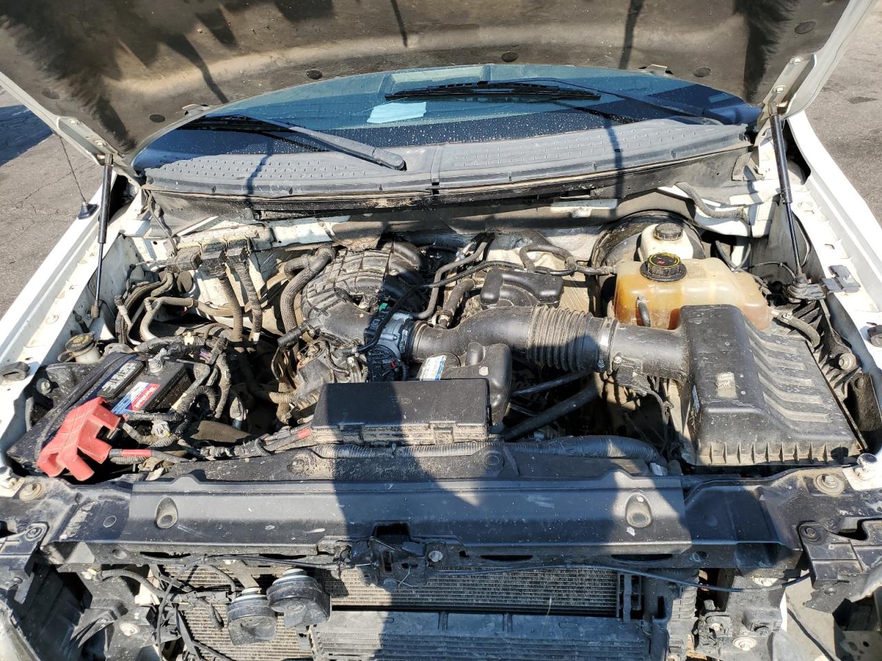 2013 Ford F150 VIN: 1FTMF1CM6DKG34217 Lot: 66013275