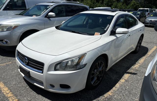 Sedans NISSAN MAXIMA 2012 White