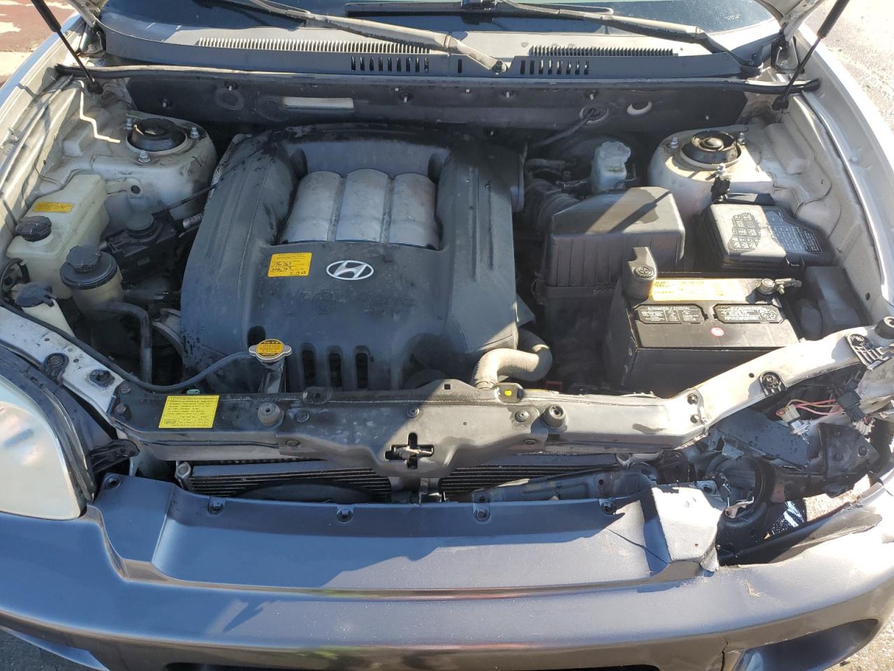 2004 Hyundai Santa Fe Gls VIN: KM8SC73D84U827746 Lot: 62704325