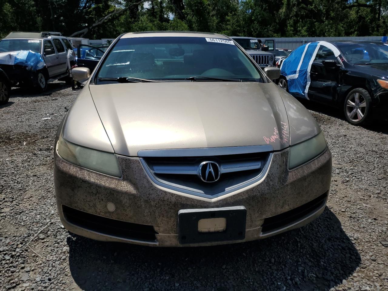 19uua66245a023469 19UUA66245A023469 2005 Acura Tl