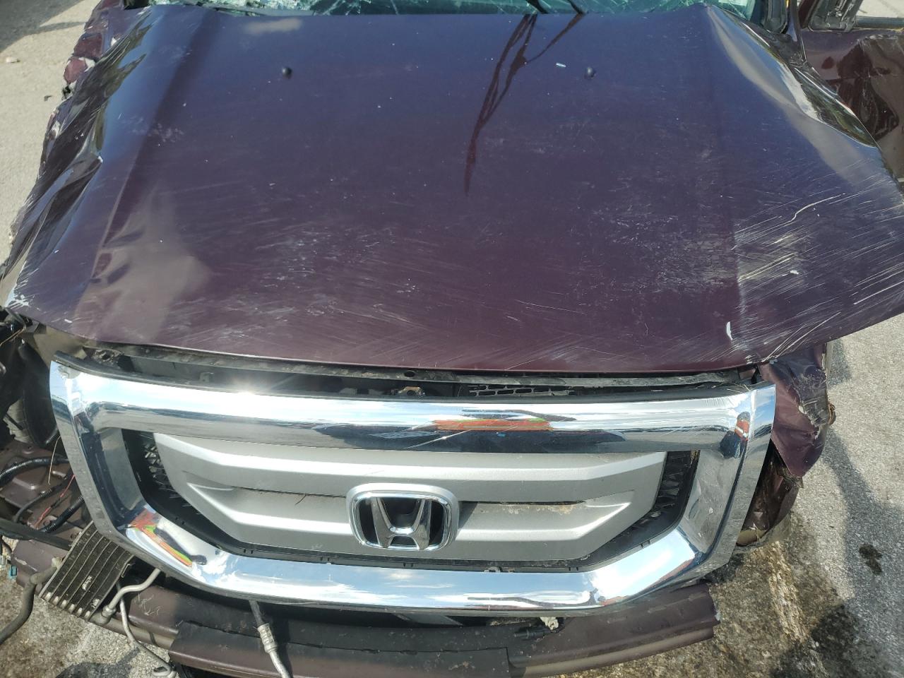 2011 Honda Pilot Exln VIN: 5FNYF4H72BB066662 Lot: 64572605