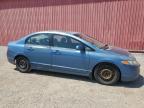 2008 HONDA CIVIC LX   à vendre chez Copart ON - LONDON