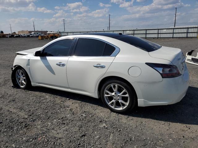  NISSAN MAXIMA 2014 Biały