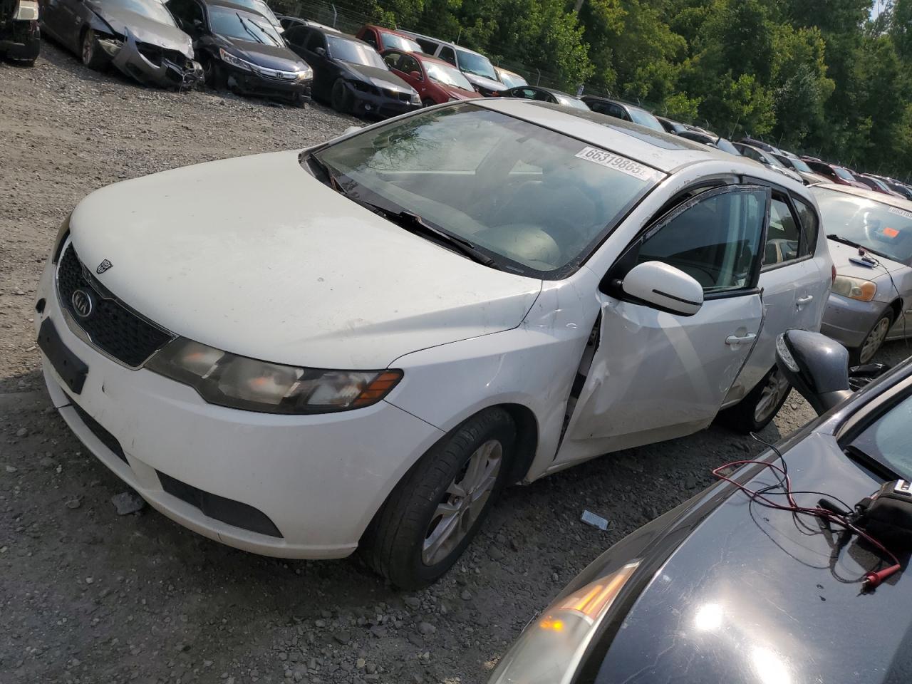 2011 Kia Forte Ex VIN: KNAFU5A29B5348135 Lot: 66319865