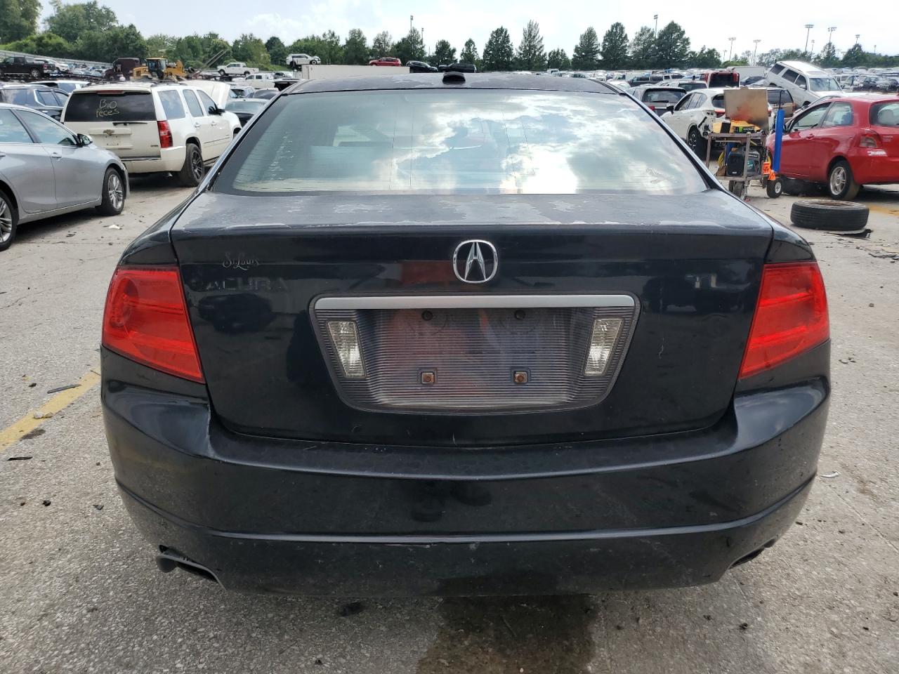 2006 Acura 3.2Tl VIN: 19UUA66256A068891 Lot: 65837135