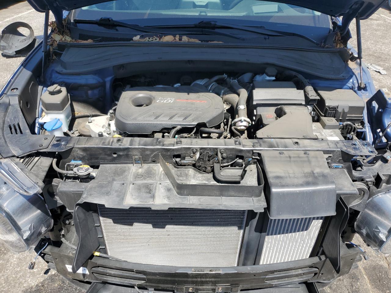 2020 Hyundai Santa Fe Limited VIN: 5NMS53AA5LH204087 Lot: 64142445