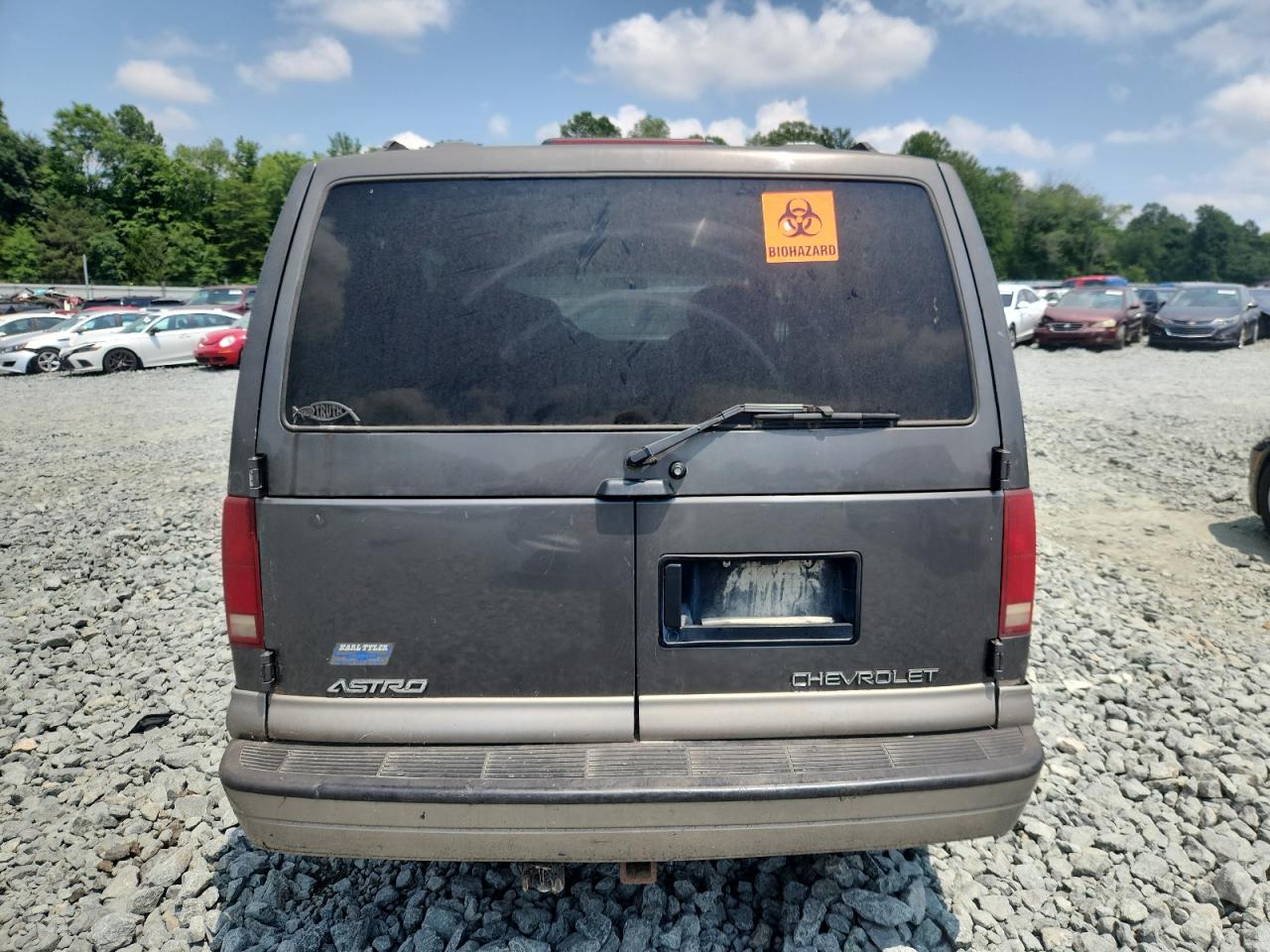 2001 Chevrolet Astro VIN: 1GNEL19W31B117661 Lot: 63974265