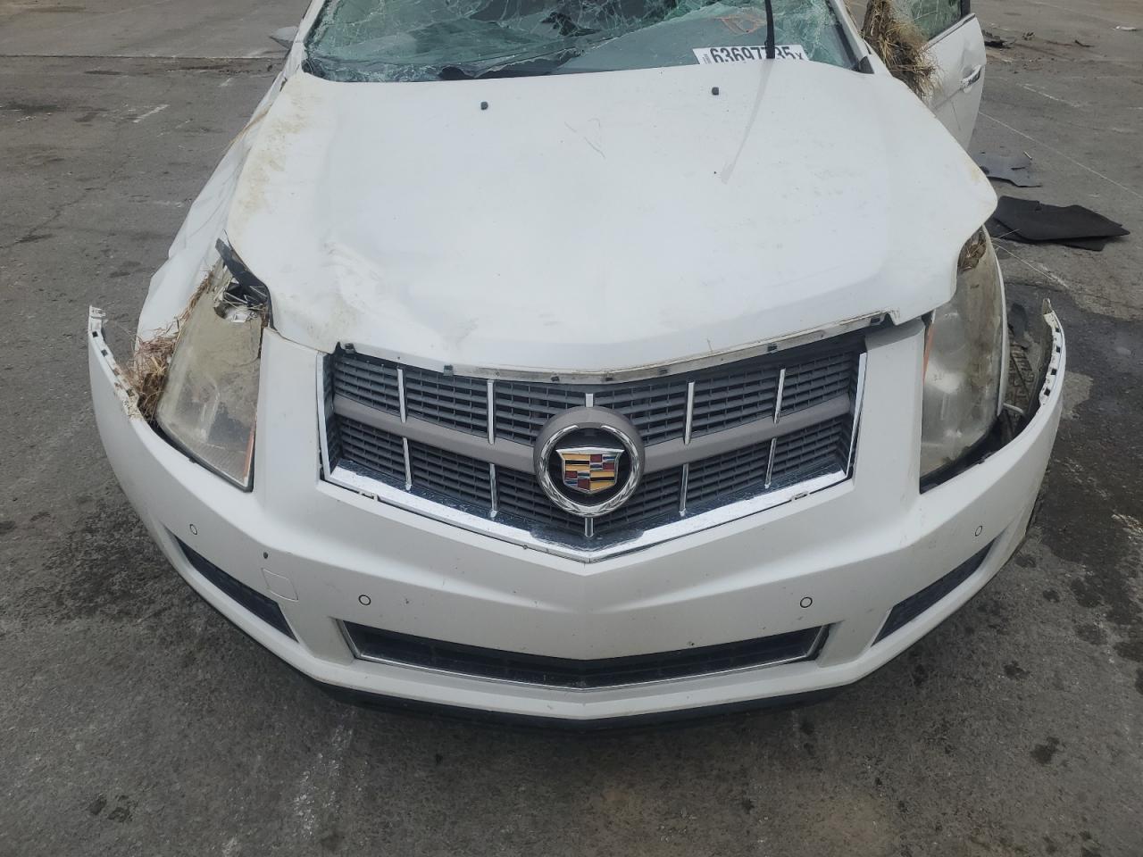 2010 Cadillac Srx Luxury Collection VIN: 3GYFNDEYXAS560212 Lot: 63697735