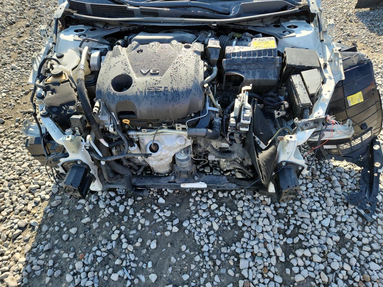 2020 Nissan Maxima Sl VIN: 1N4AA6DV0LC377950 Lot: 65116295