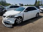 2007 TOYOTA CAMRY CE   for sale at Copart ON - TORONTO