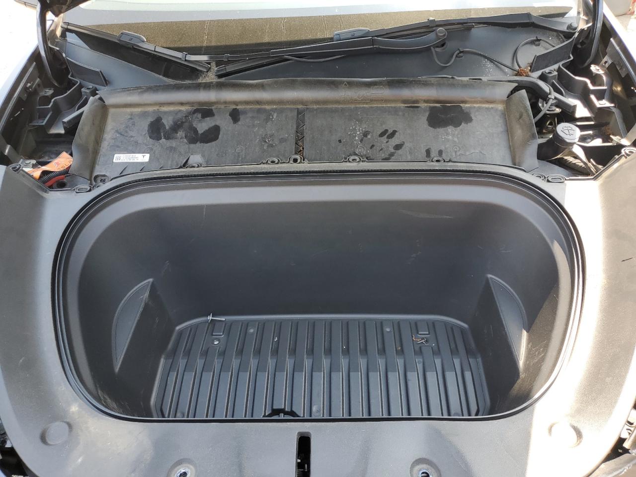 2022 Tesla Model Y VIN: 7SAYGDEEXNF433928 Lot: 66916535